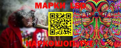 стафф Лесосибирск