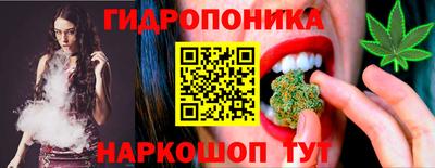 стафф Лесосибирск