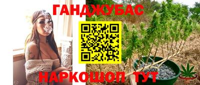 стафф Лесосибирск