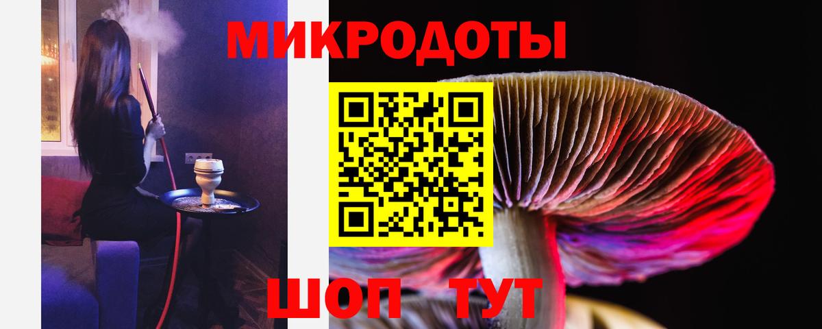 Камень-на-Оби  Псилоцибиновые грибы GOLDEN TEACHER  Галлюциногенные грибы Psilocybine cubensis  Вход с VPN 
